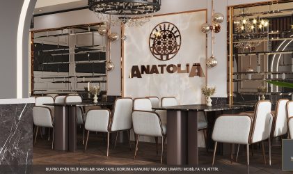 Frankfurt Anatolia Restaurant Giriş Kat İç Mekan Tasarımı